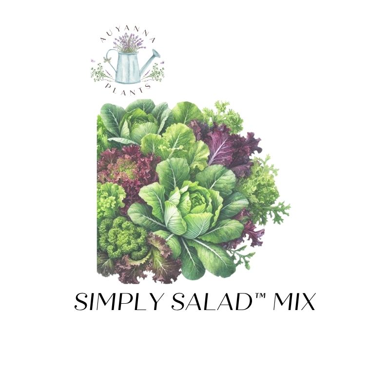 Fall DELUXE Garden Grow Kit PLUS FREE BONUS eBOOK-FREE SHIPPING