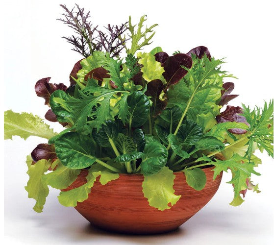 Global Gourmet Mixture Simply Salad® Seeds