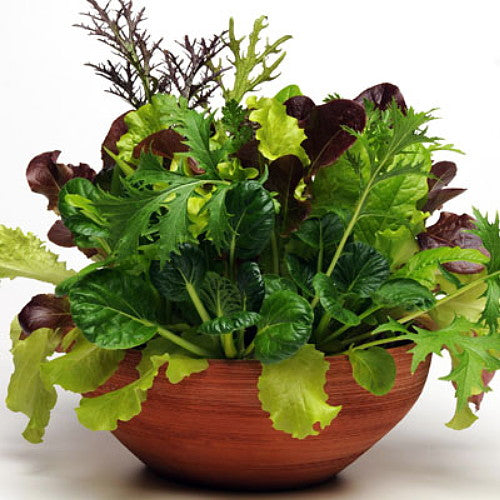 Fall DELUXE Garden Grow Kit PLUS FREE BONUS eBOOK-FREE SHIPPING