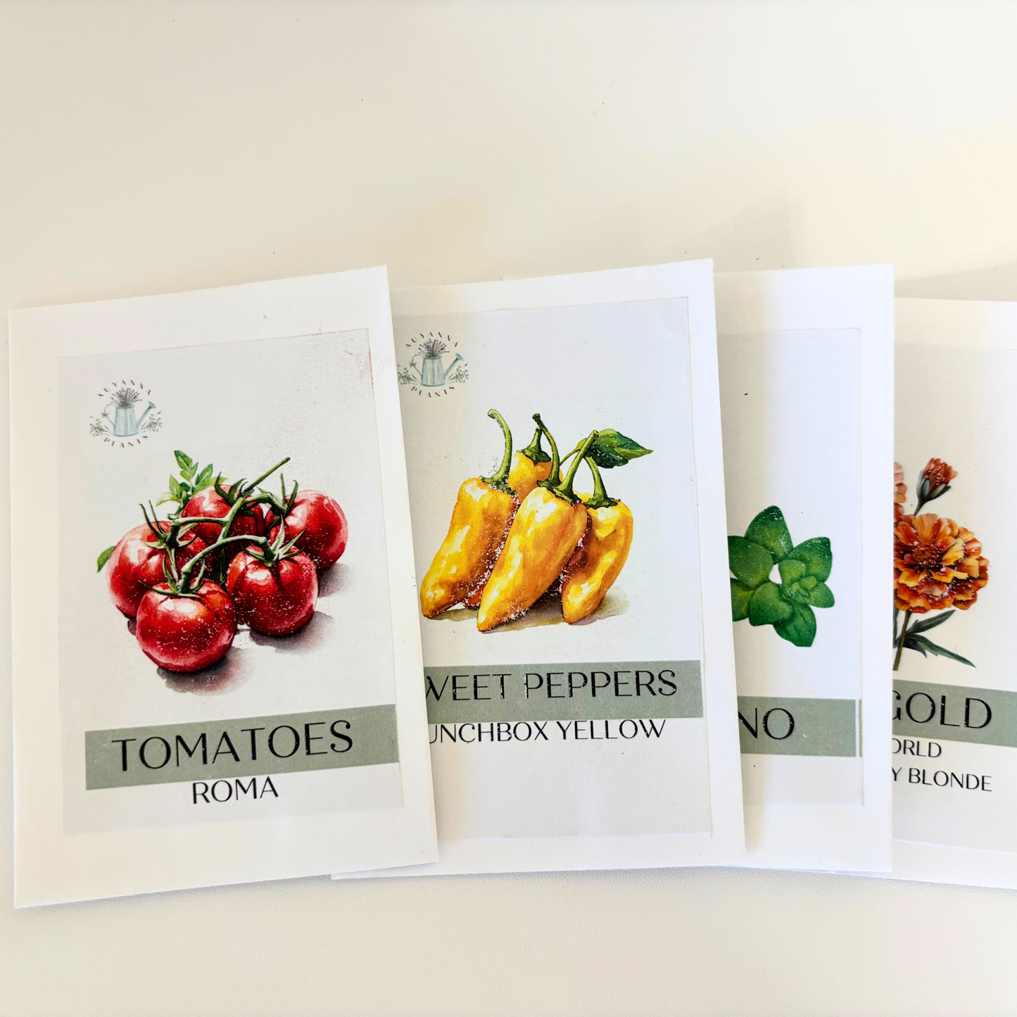Pizza On The Patio Seed Kit (FREE SHIPPING)