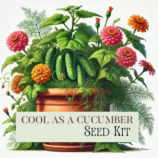 Cool As A Cucumber Deluxe Seed Kit (FREE SHIPPING)