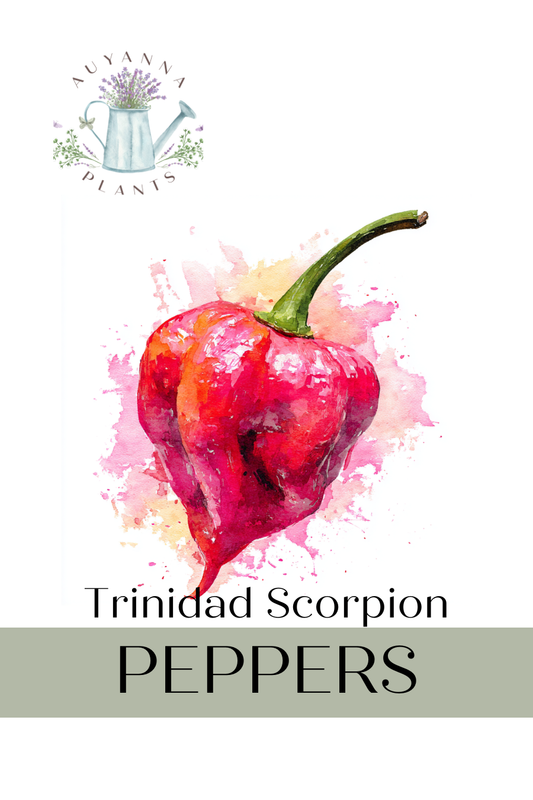 Trinidad Scorpion Pepper Seeds (FREE SHIPPING)
